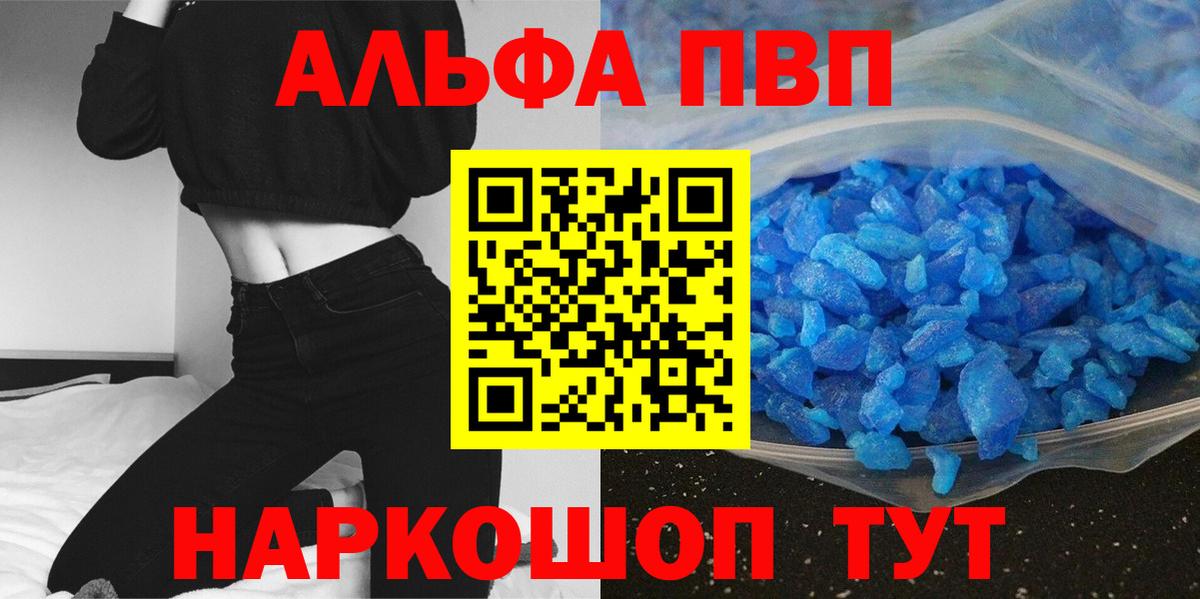 A PVP СК Сыктывкар