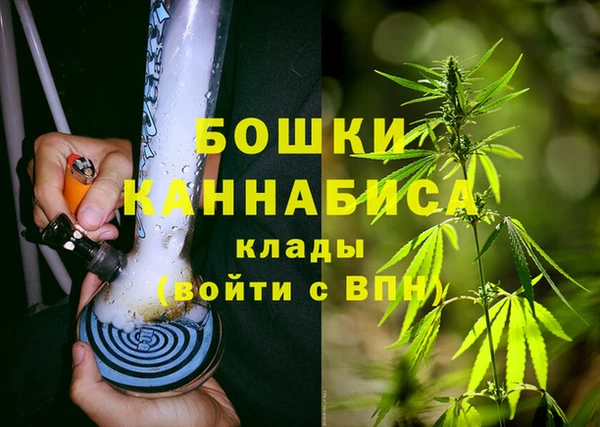 дживик Магас