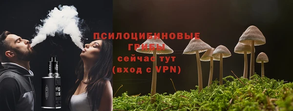дживик Магас