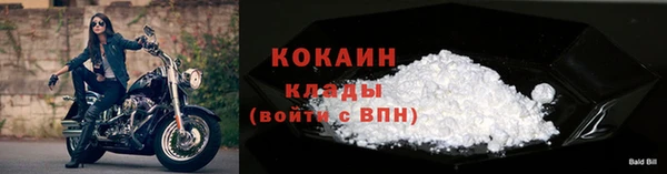 мдпв Майский