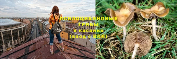 каннабис Магадан