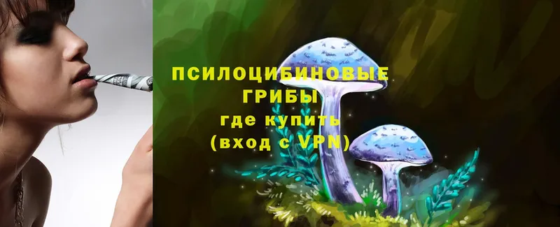 Галлюциногенные грибы Psilocybe  OMG ССЫЛКА  Сыктывкар 