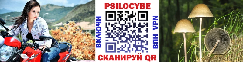 Псилоцибиновые грибы GOLDEN TEACHER KRAKEN как зайти Сыктывкар