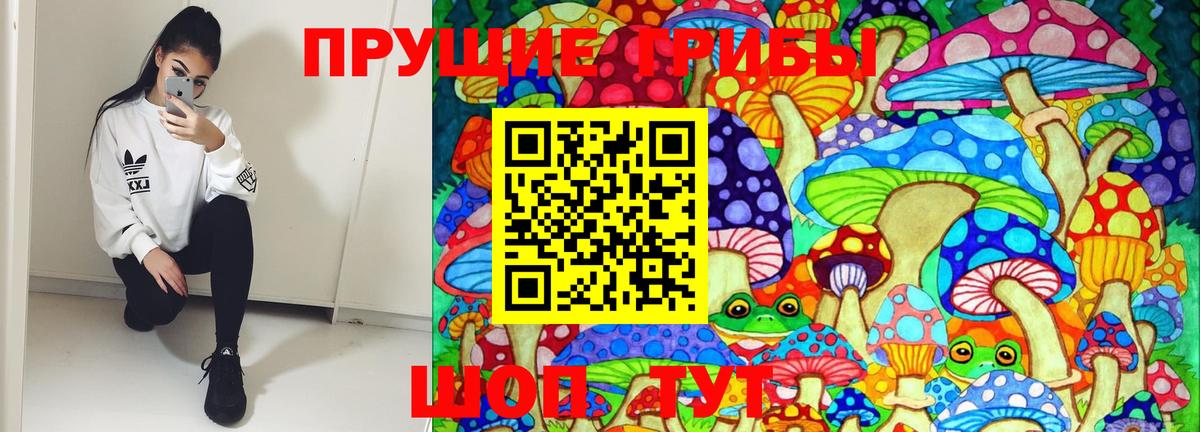 Сыктывкар  Галлюциногенные грибы Magic Shrooms  Вход с VPN 