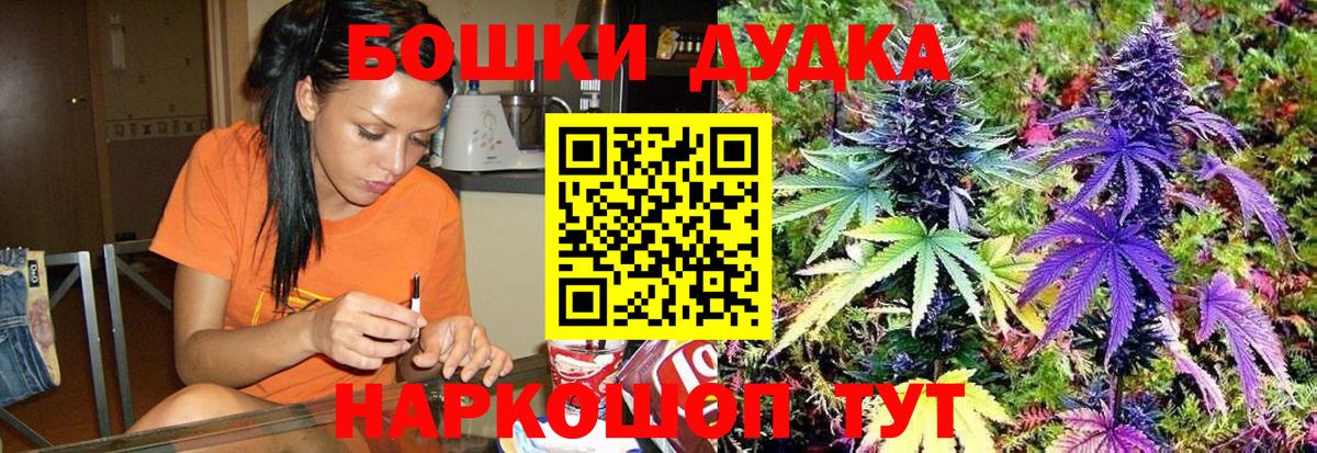 Бошки Шишки индика Сыктывкар